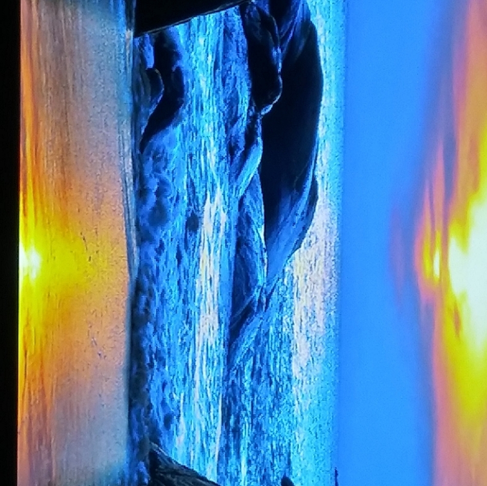 Meet your Posher, Beauty